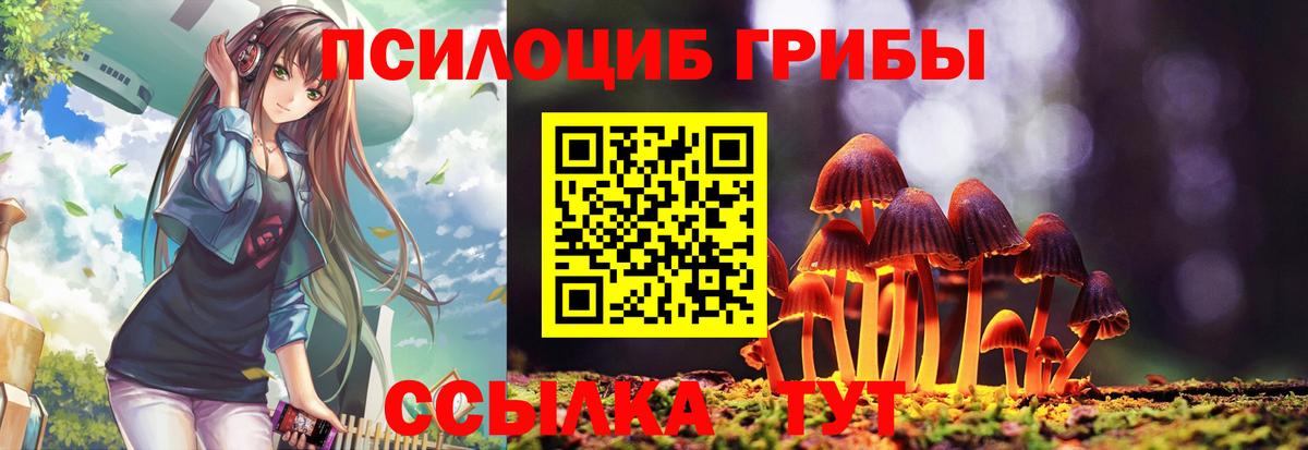 Галлюциногенные грибы MAGIC MUSHROOMS  Галлюциногенные грибы Psilocybine cubensis  Керчь  Вход с VPN 